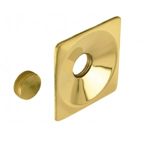 Square wallplate with plug